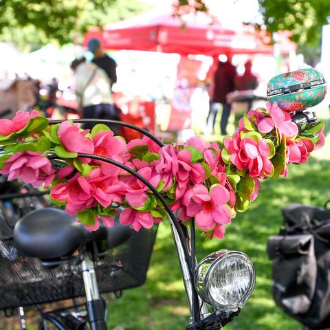 Blumen an einem Lenker beim Fahrradfrühling im Mai im MüGa-Park