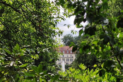 Pflanzen im Sommer im Raffelbergpark Speldorf
