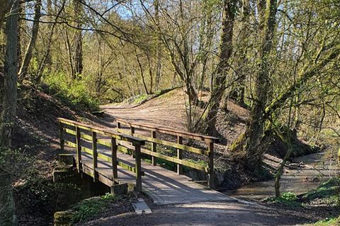 Holzbrücke im Frühling im Mülheimer Rumbachtal