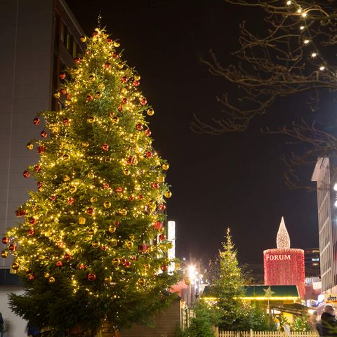 Großer Weihnachtsbaum im Winter beim Weihnachtstreff in der Mülheimer Innenstadt