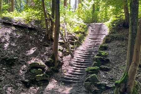 Treppe im Wald auf dem neanderlandSTEIG Etappe 7