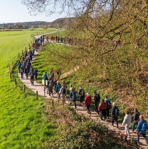 Wanderer bei der 1000 Herzen Wander-Challenge 2025 in den Mülheimer Ruhrauen