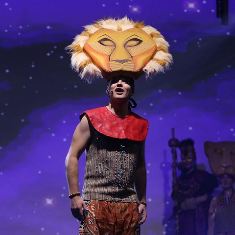 Der König der Löwen in Hakuna Matata.