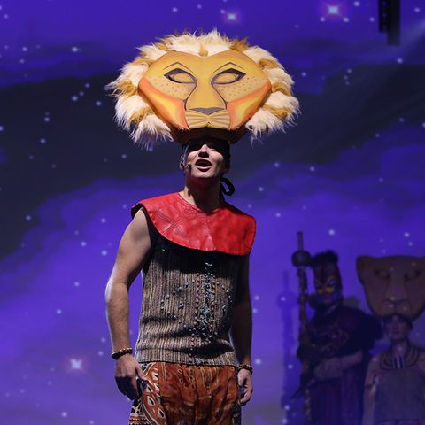 Der König der Löwen in Hakuna Matata.