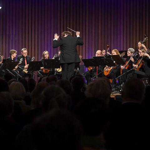 Mülheimer Zupforchester: Blick übers Publikum auf festlich gekleidete Musiker und Musikerinnen, die mit Zupfinstrumenten auf der Bühne sitzen und spielen, während der Dirigent den Takt vorgibt.
