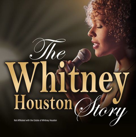 Keyvisual „ONE MOMENT IN TIME – The Whitney Houston Story”