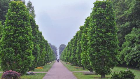 Weg am Hauptfriedhof in Mülheim an der Ruhr